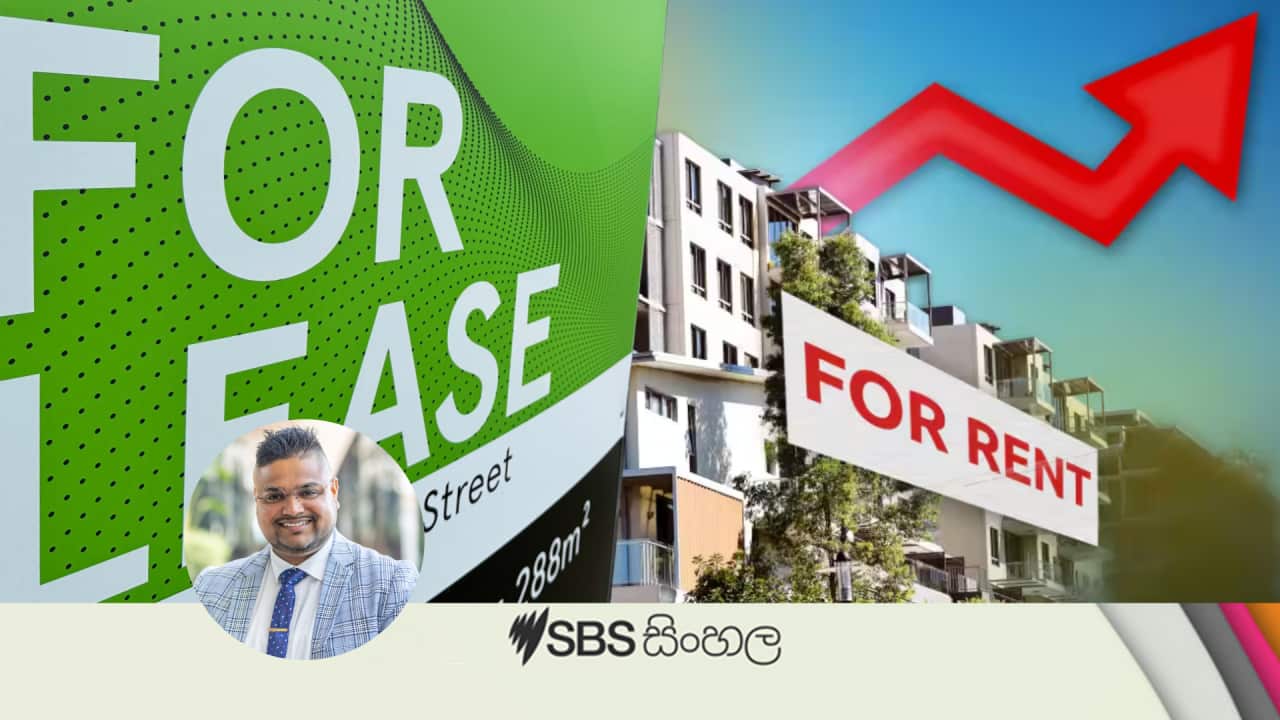 Sinhala_15072024_rentalmarket_interview_sam_1.mp3