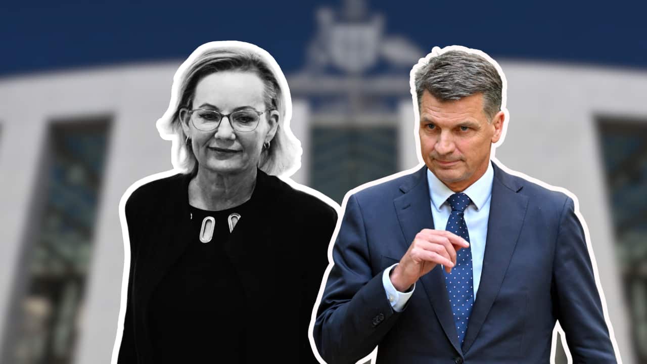 A graphic image featuring cut-outs of Sussan Ley (left) and Angus Taylor in front of Parliament House in Canberra.