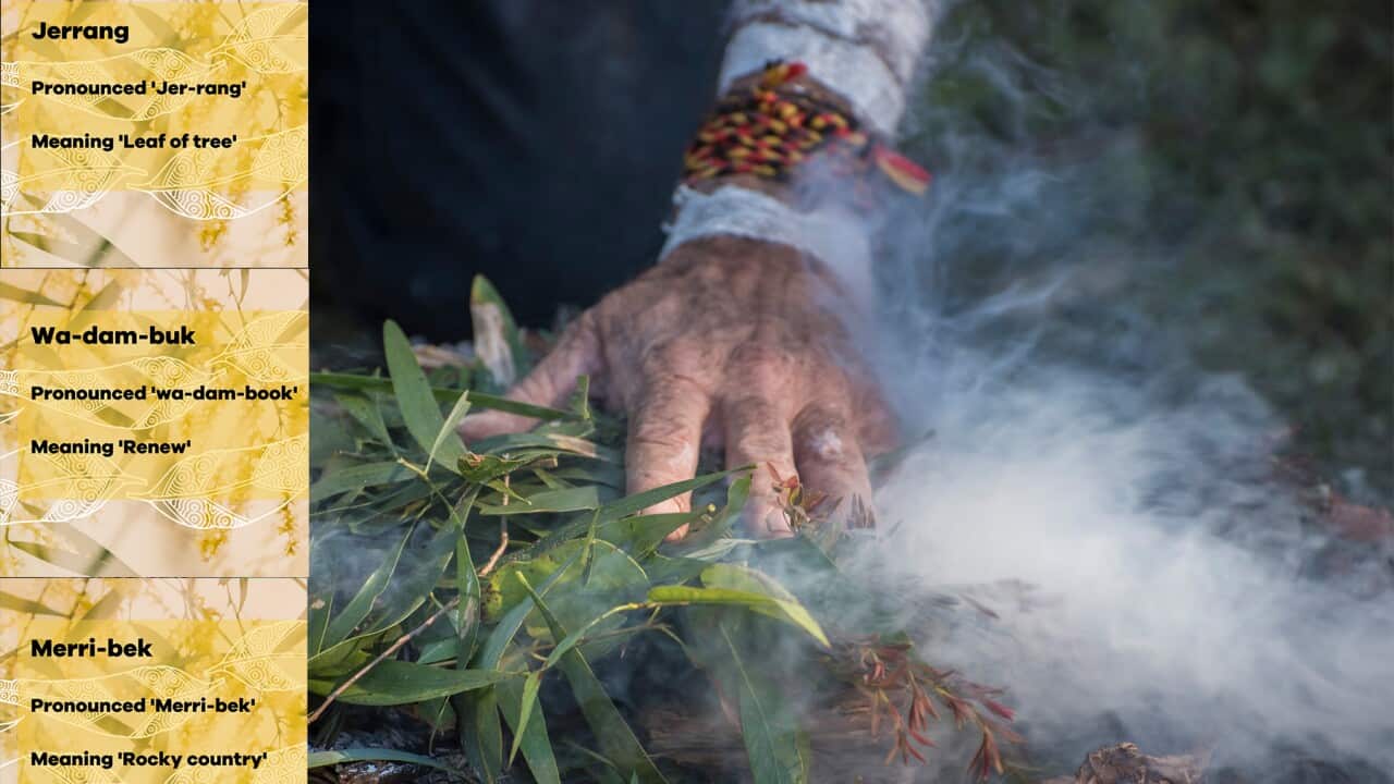 Image for read more article ''