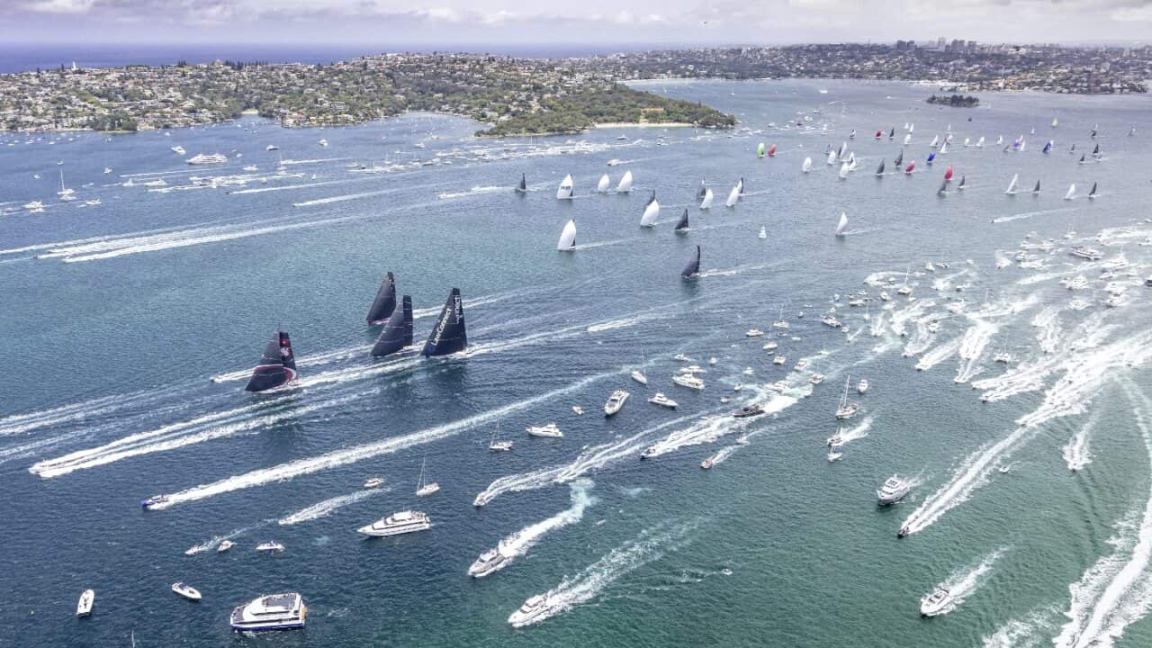 The Sydney to Hobart yacht race is back this year after it was cancelled for the first time in its history last year.