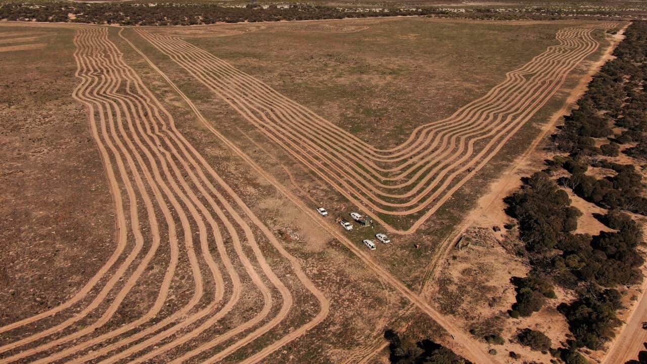 ACRAMAN CREEK LAND RESTORATION PROJECT