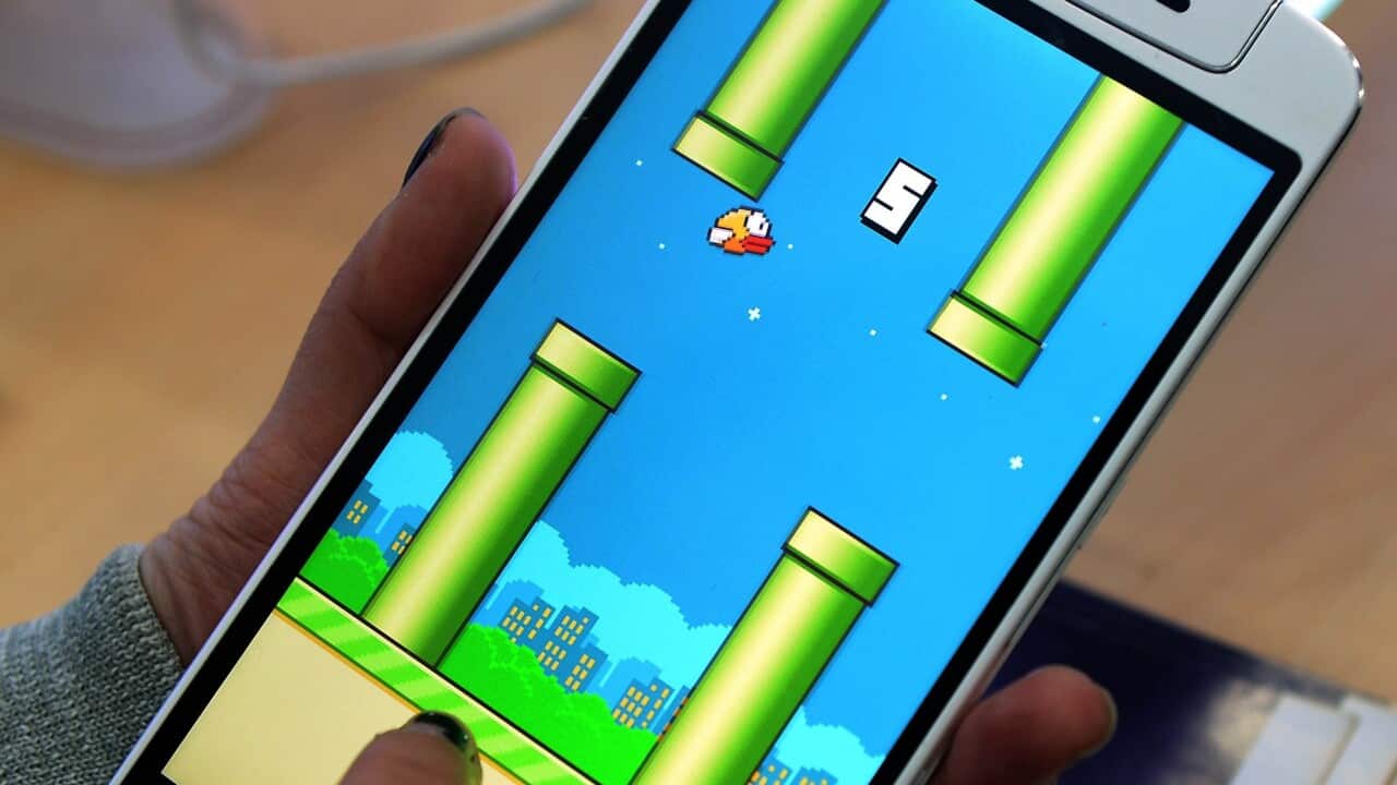 Flappy_bird_140210_AAP.JPG