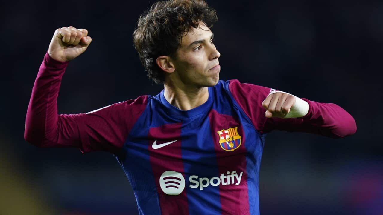 Image for read more article ''