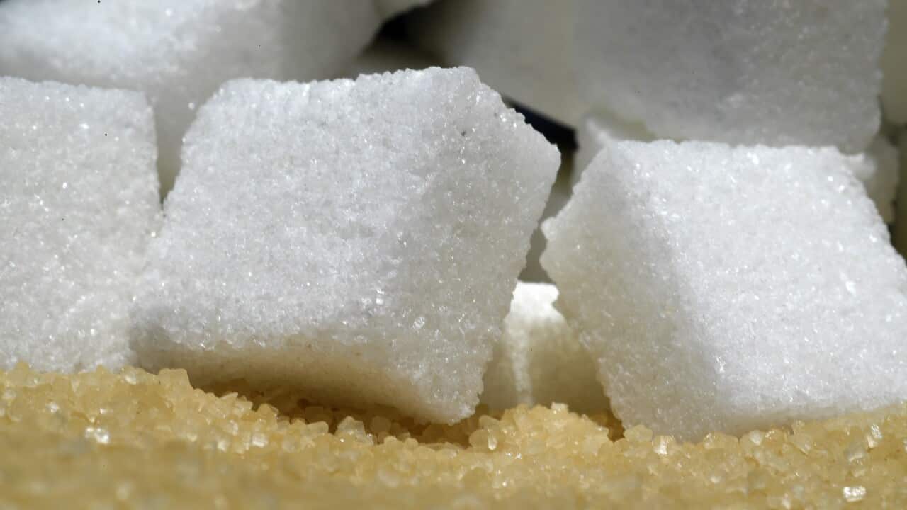 SUGAR STOCK