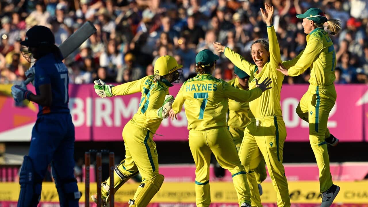Cricket players cheer while on the field.