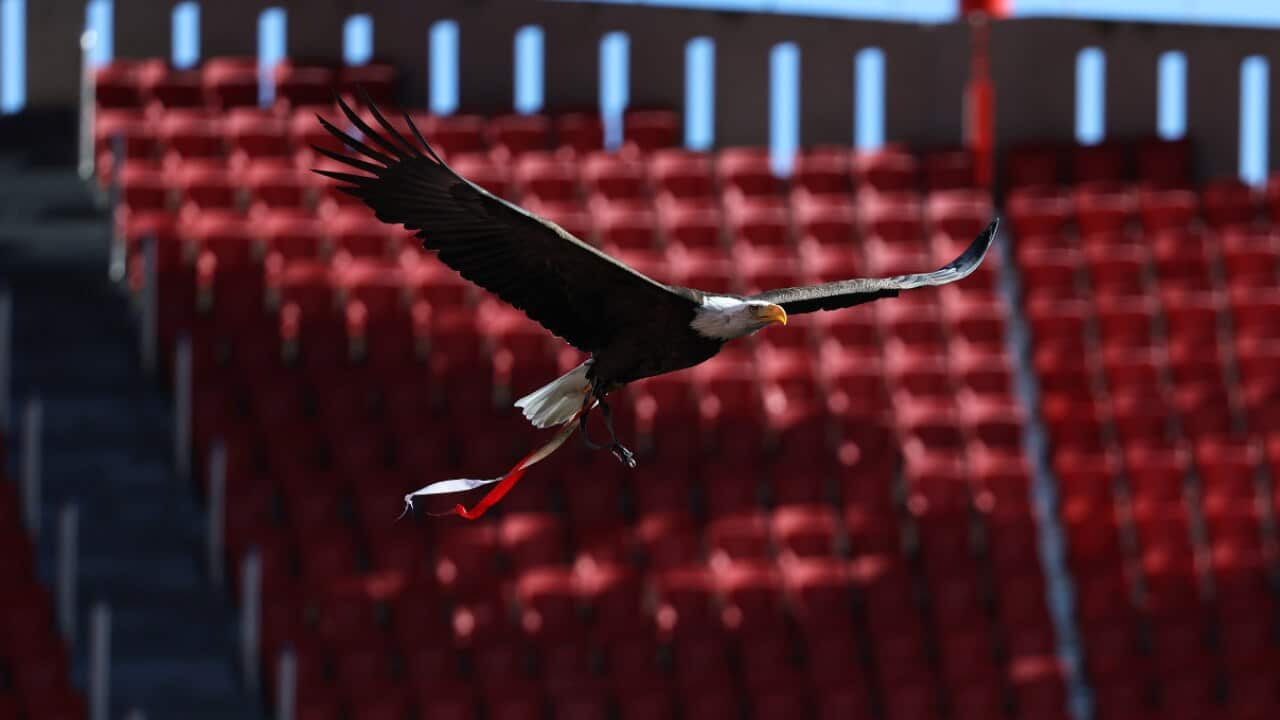 Image for read more article ''