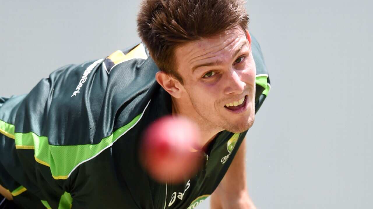 Australian cricketer Mitchell Marsh