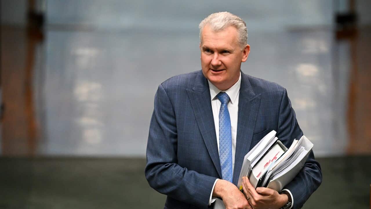 Australian Employment Minister Tony Burke arrives during Question Time at Parliament House (AAP)