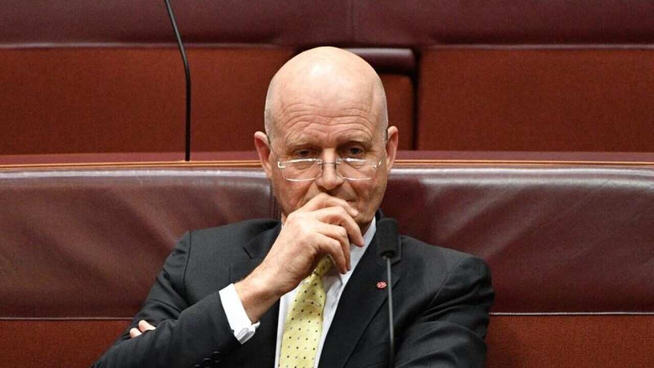 A file image of Senator Leyonhjelm
