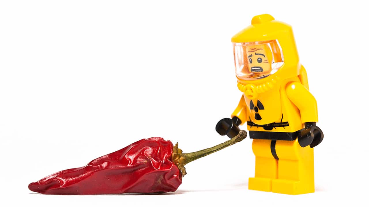 Image for read more article 'hot topic'