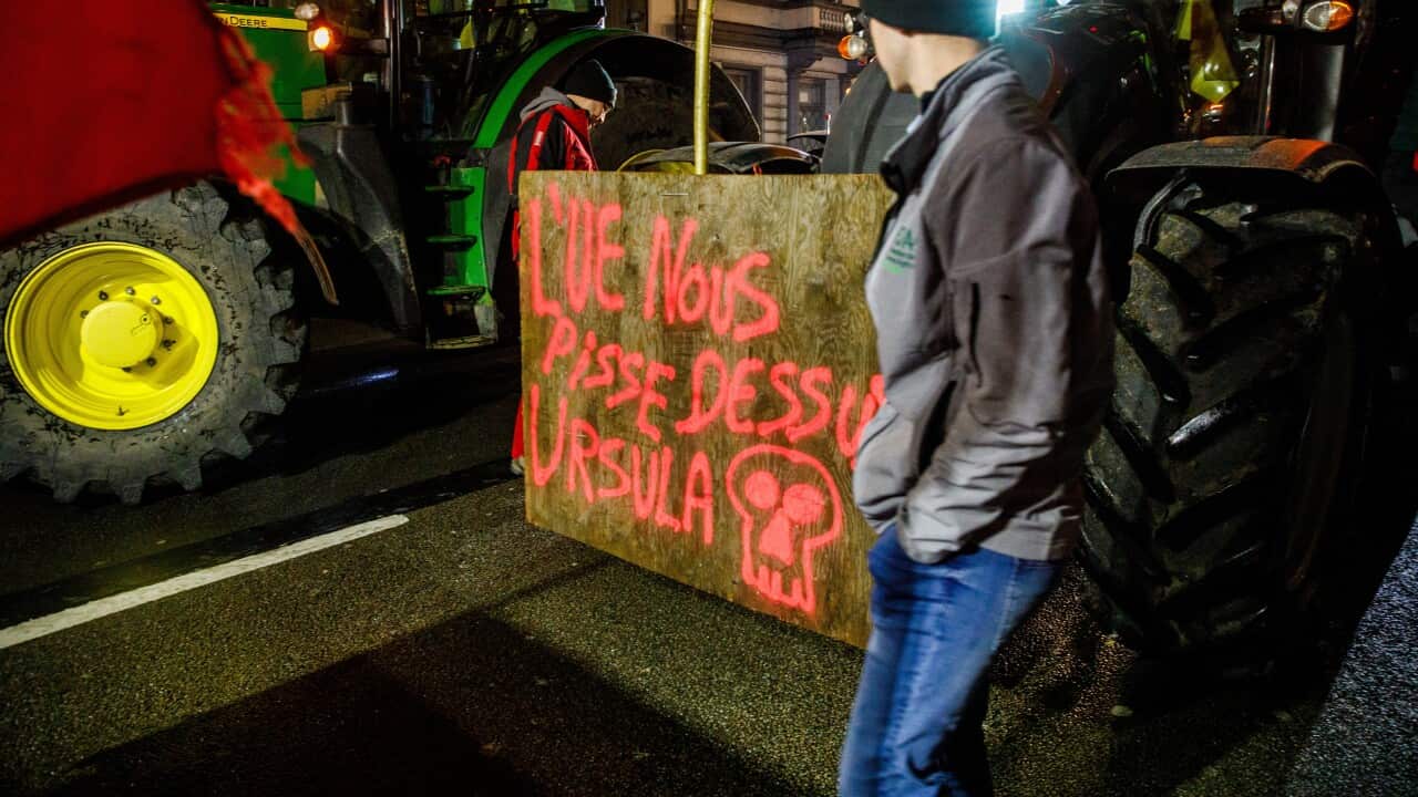 Belgium: BELGIUM BRUSSELS FARMERS PROTEST