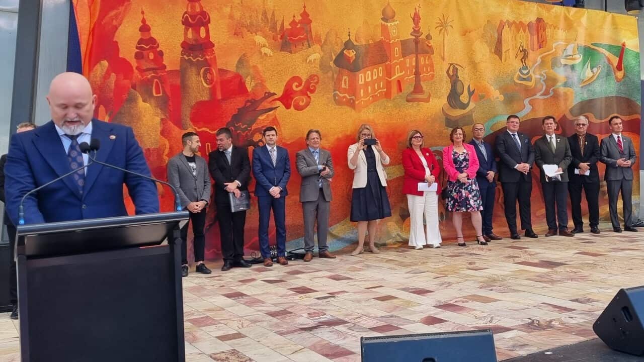 2023 Polski Festiwal VIP web.jpg