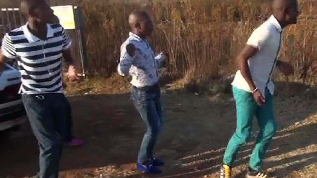 bornfrees_130702_sbs_1689238402