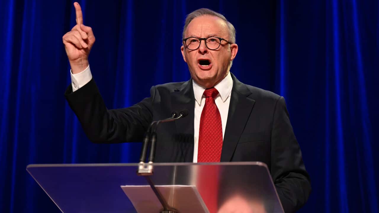 ELECTION25 ANTHONY ALBANESE CAMPAIGN