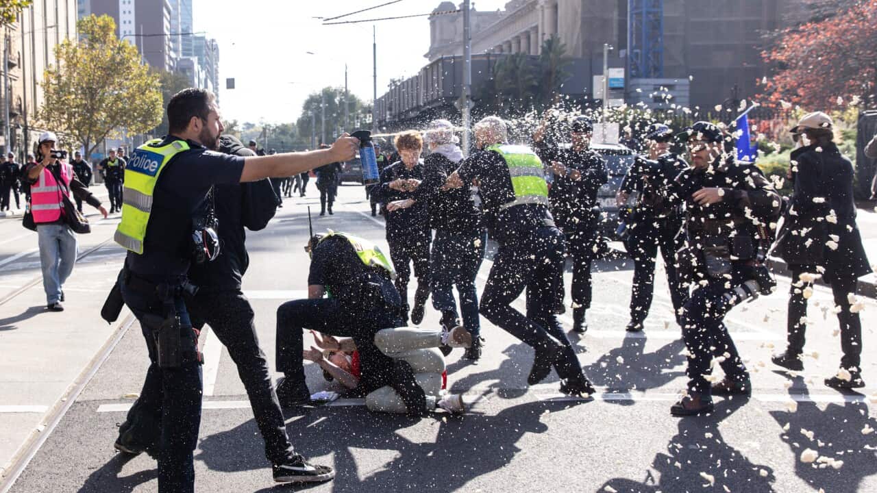 IMMIGRATION RALLY MELBOURNE