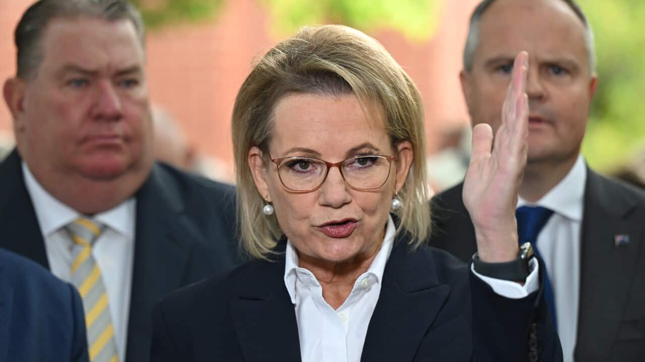 A woman speaking, motions with her hand.