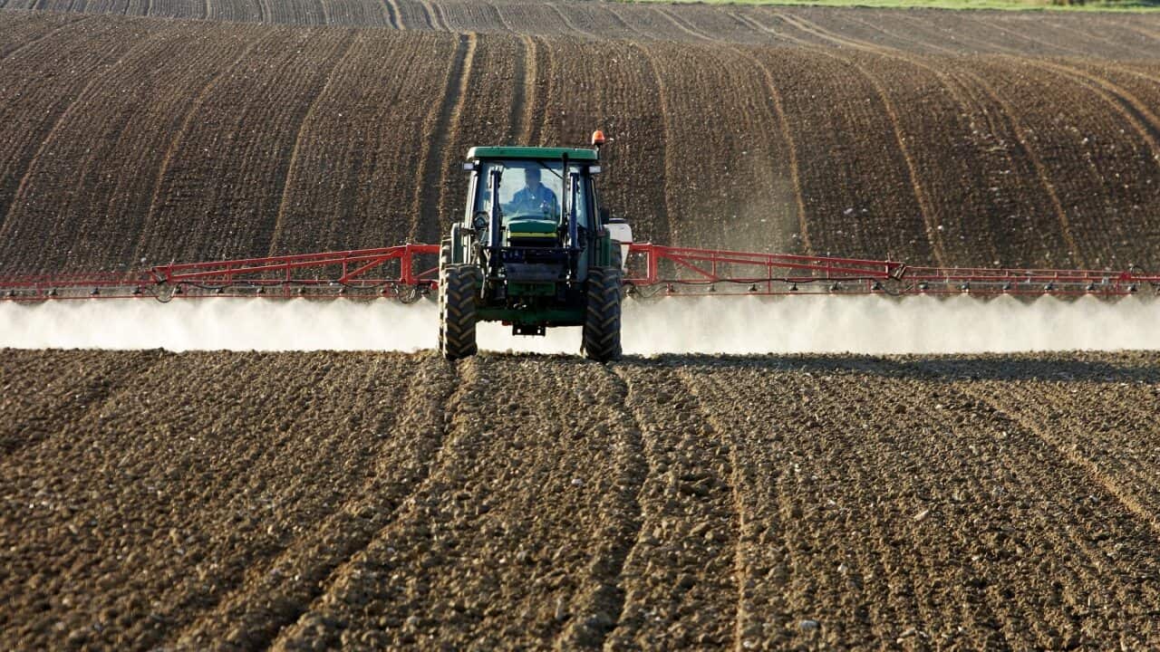 A farmer spraying crops