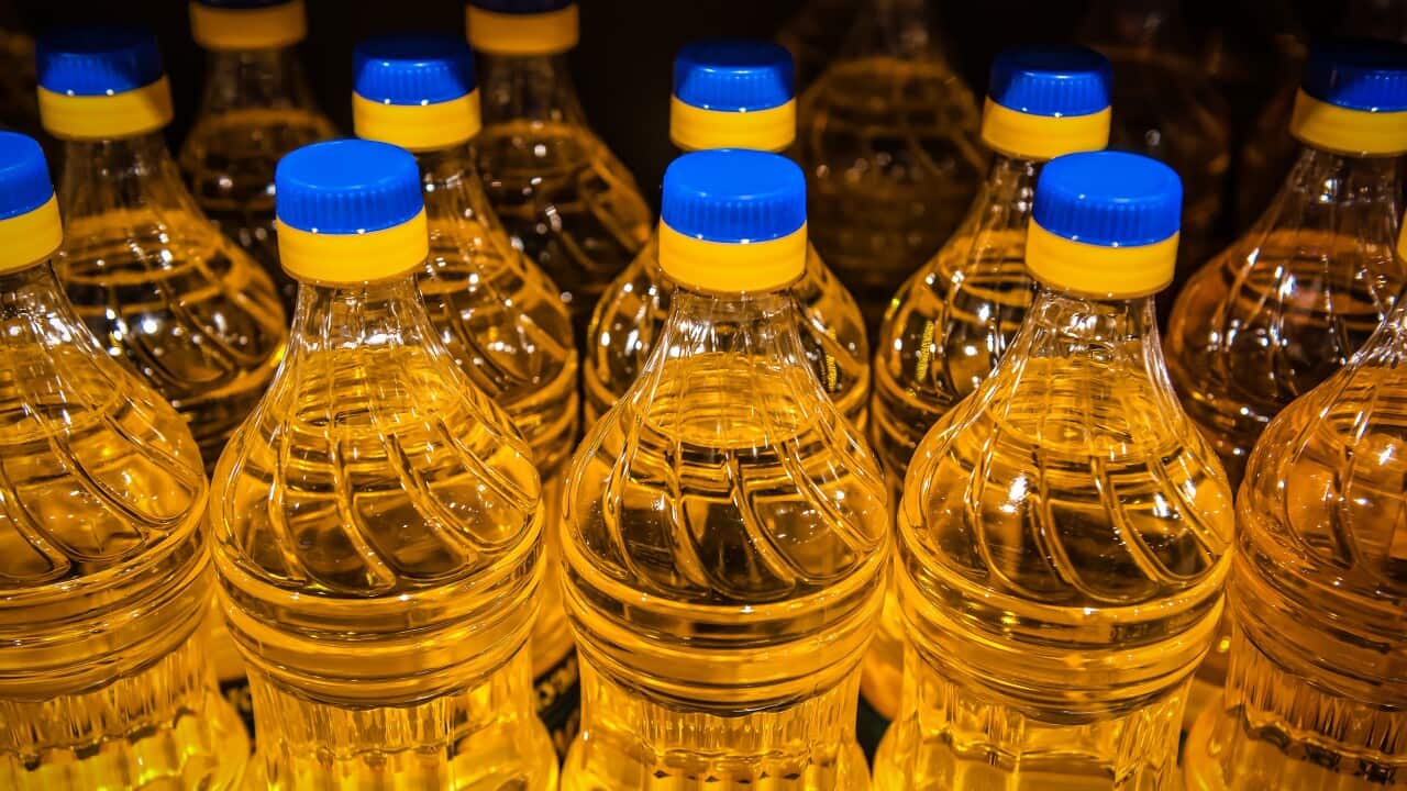 Image for read more article 'READ MORE'