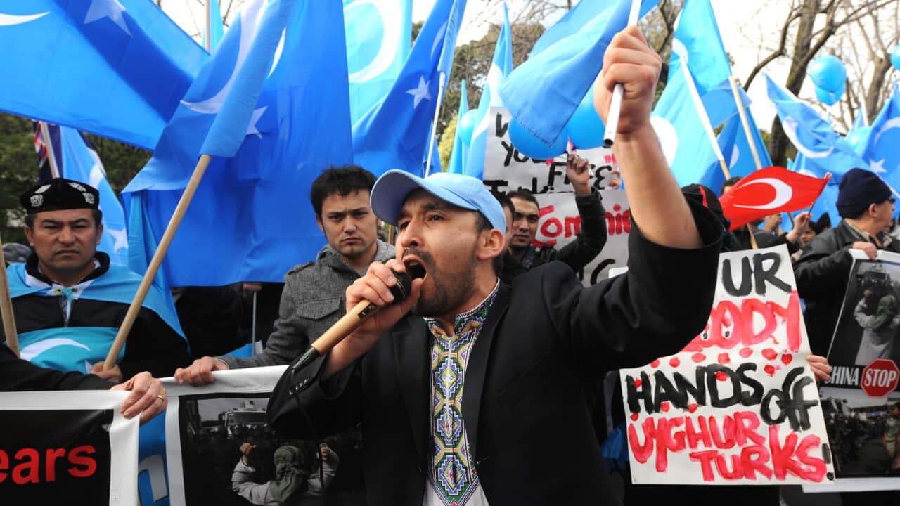 Members of Australia's Uighur community were among those to warn the committee about facing intimidation from a foreign government. 