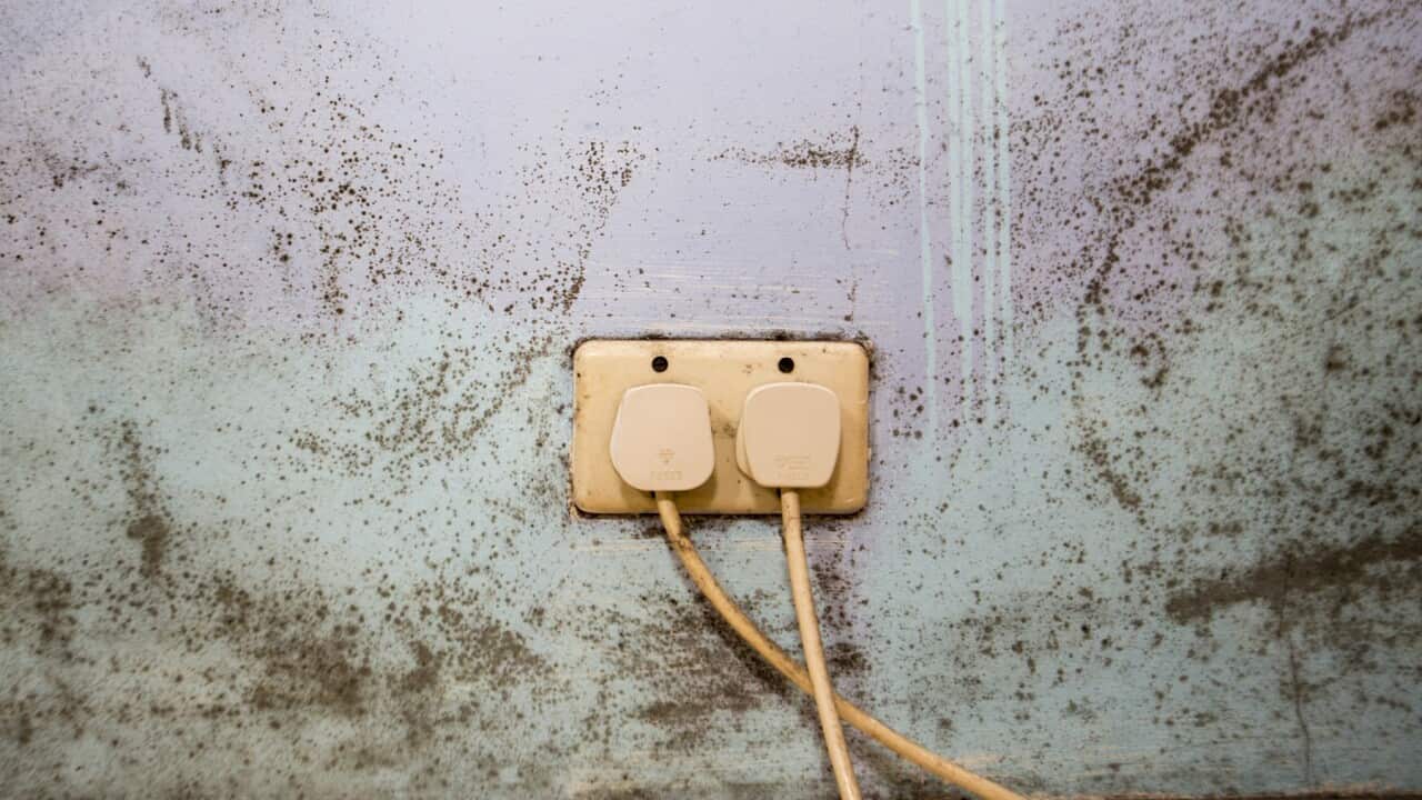 UK - Sustainable Living - Fuel Poverty