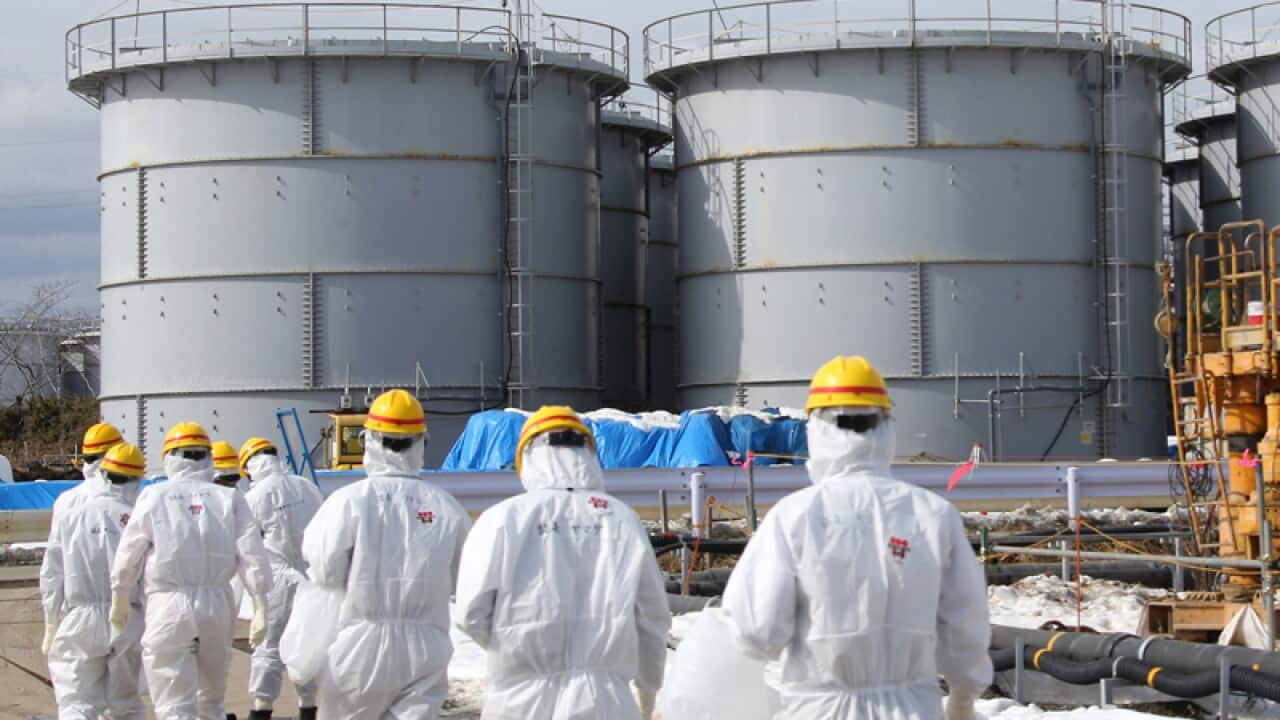 Contaminated water storage tanks at the Fukushima nuclear power plant. (AAP)