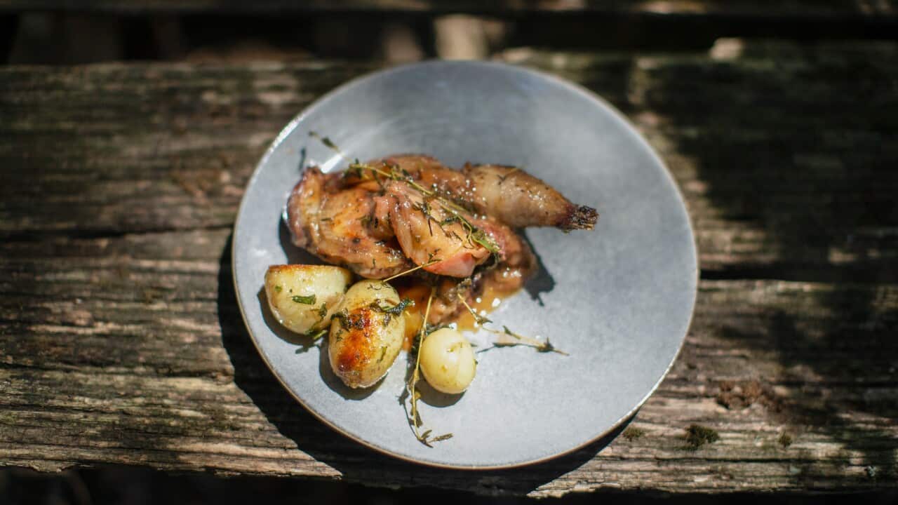 Pheasant with roasted peaches