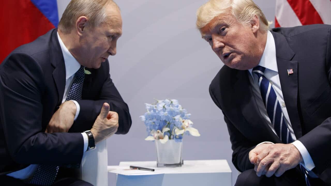 Donald Trump,Vladimir Putin