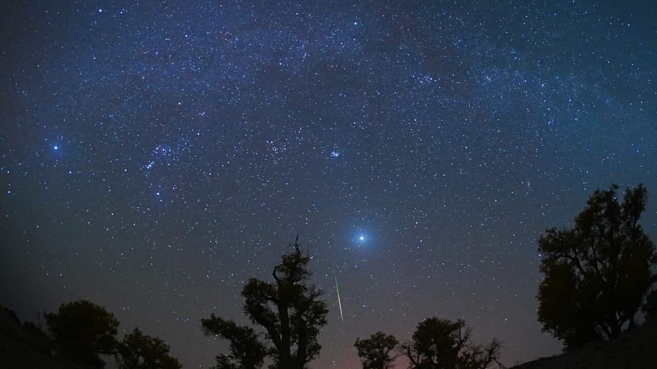  A sky with stars in it with trees in the foreground.