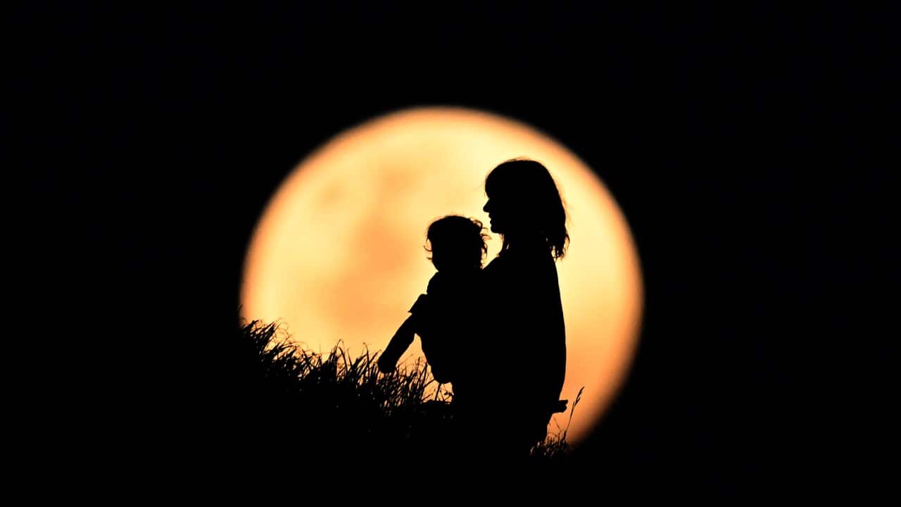 Image for read more article 'Lee también:'