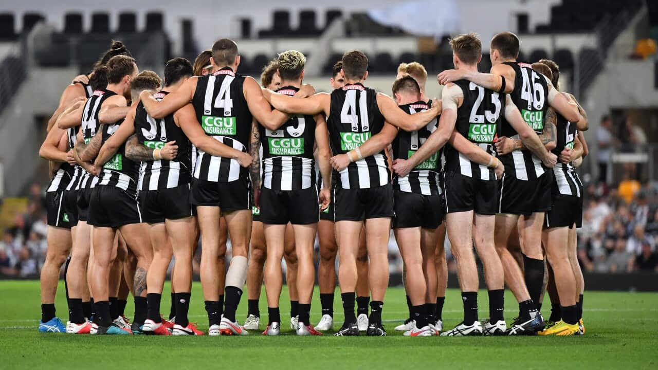 We are sorry': Collingwood players apologise to those who suffered racism  at the club after report | SBS News