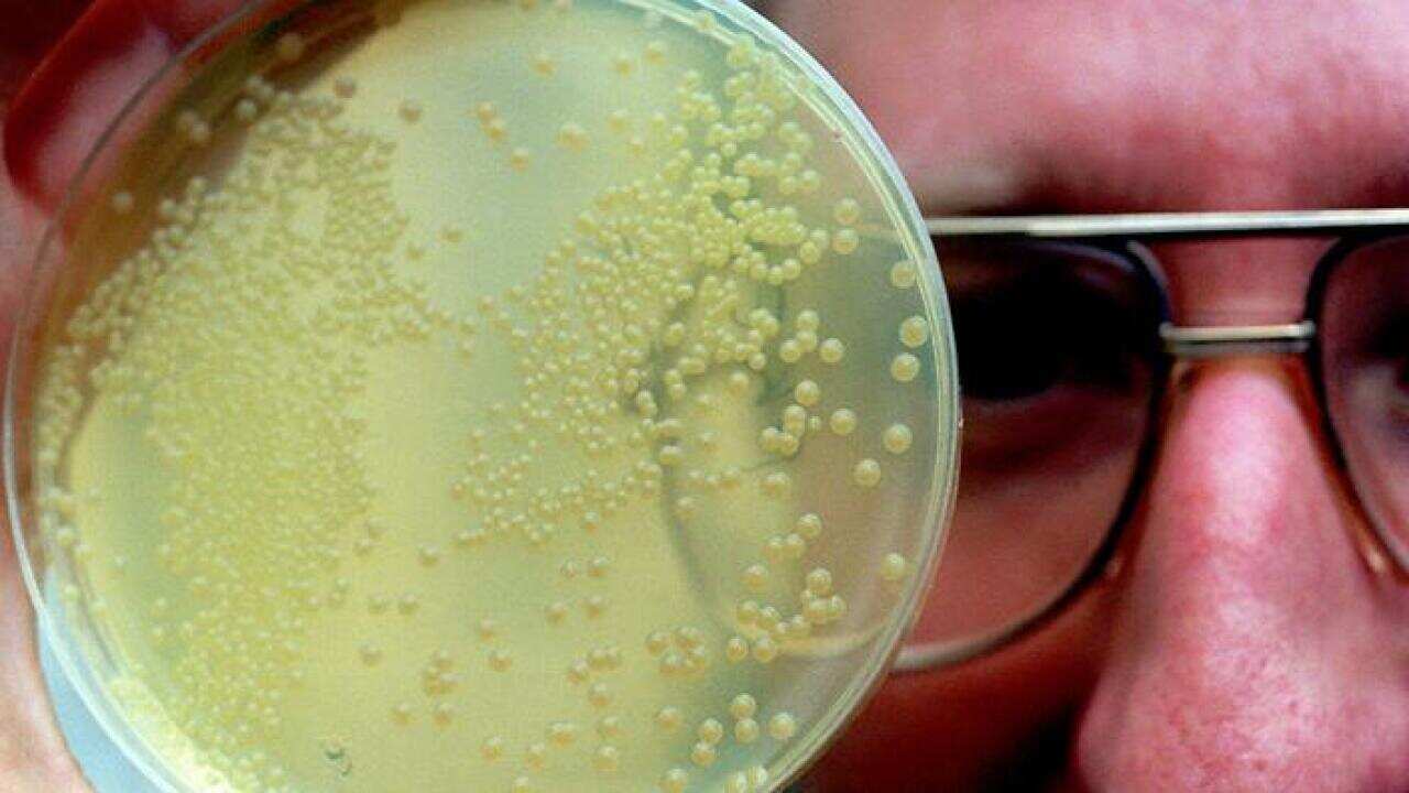 Antibiotic resistance is everyone's problem