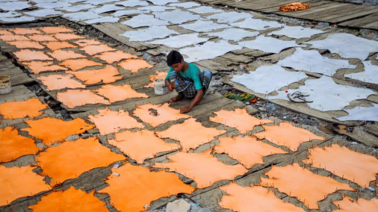 Tannery industry in Bangladesh