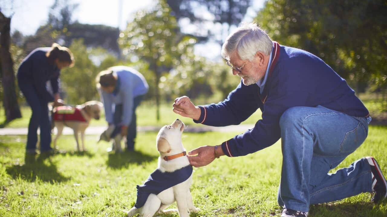 Image for read more article 'READ MORE'