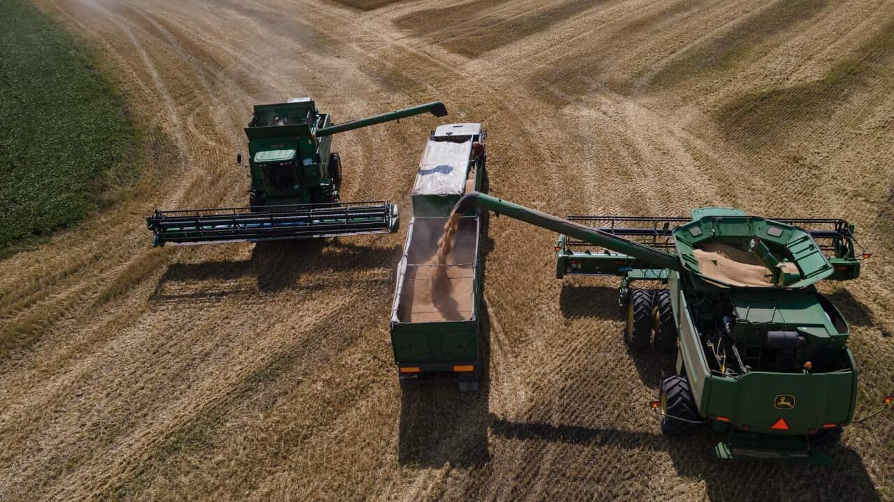 Image for read more article 'READ MORE'