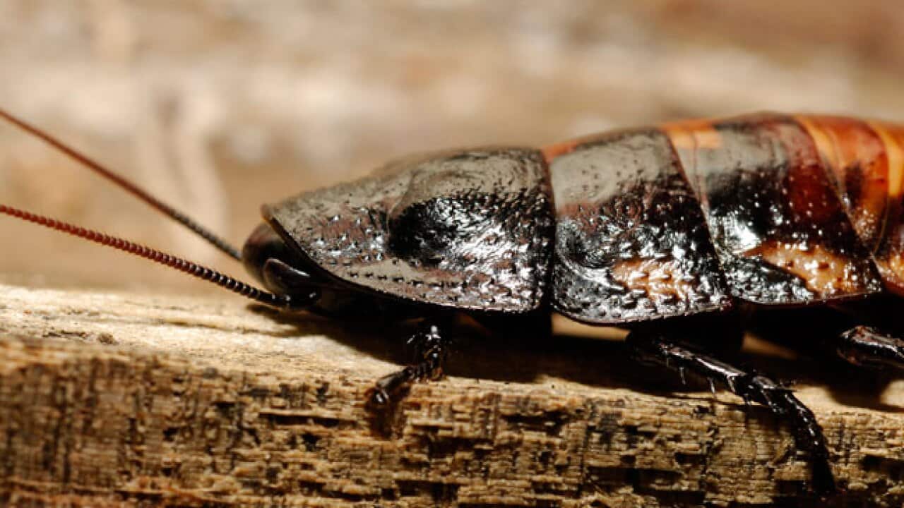 Image for read more article 'READ MORE'