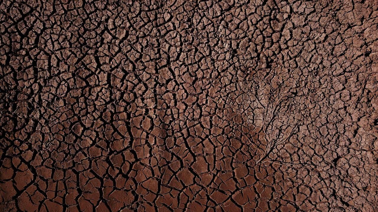 The cracked bed of a water canal between Pooncarie and Menindee (AAP)