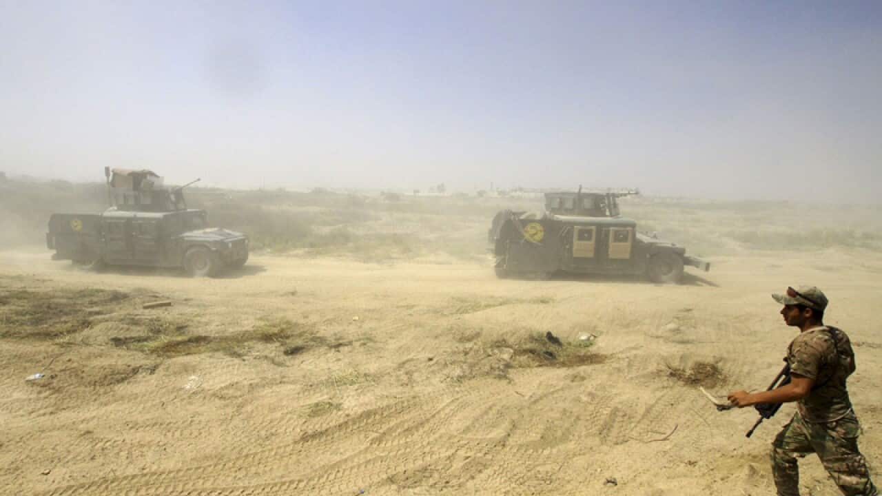 Iraqi security forces advance their positions in Fallujah