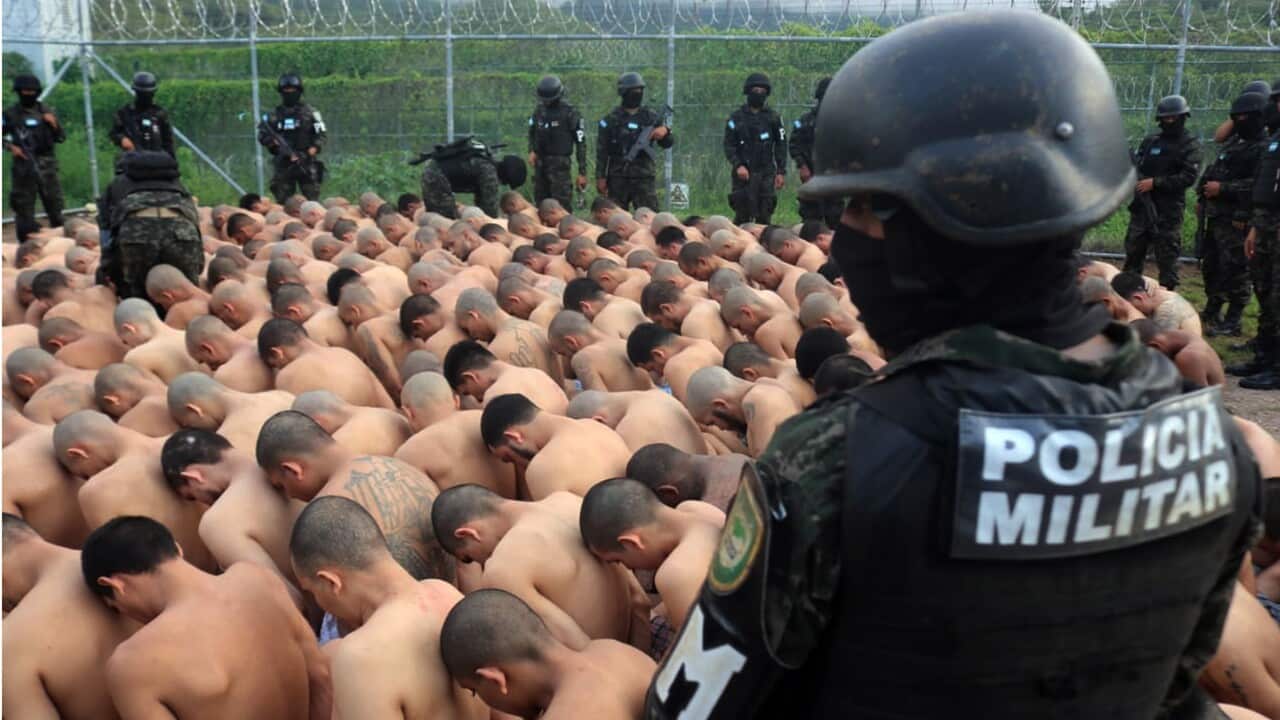 Image for read more article ''