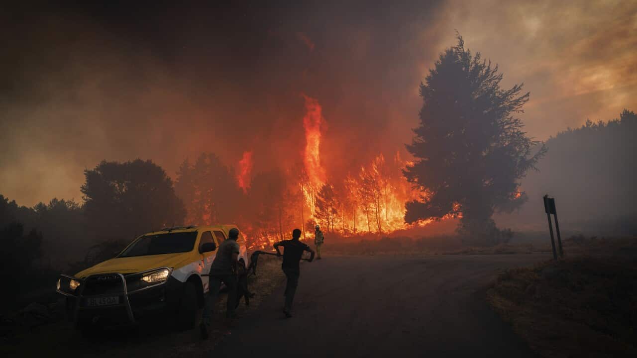 Image for read more article 'READ MORE'