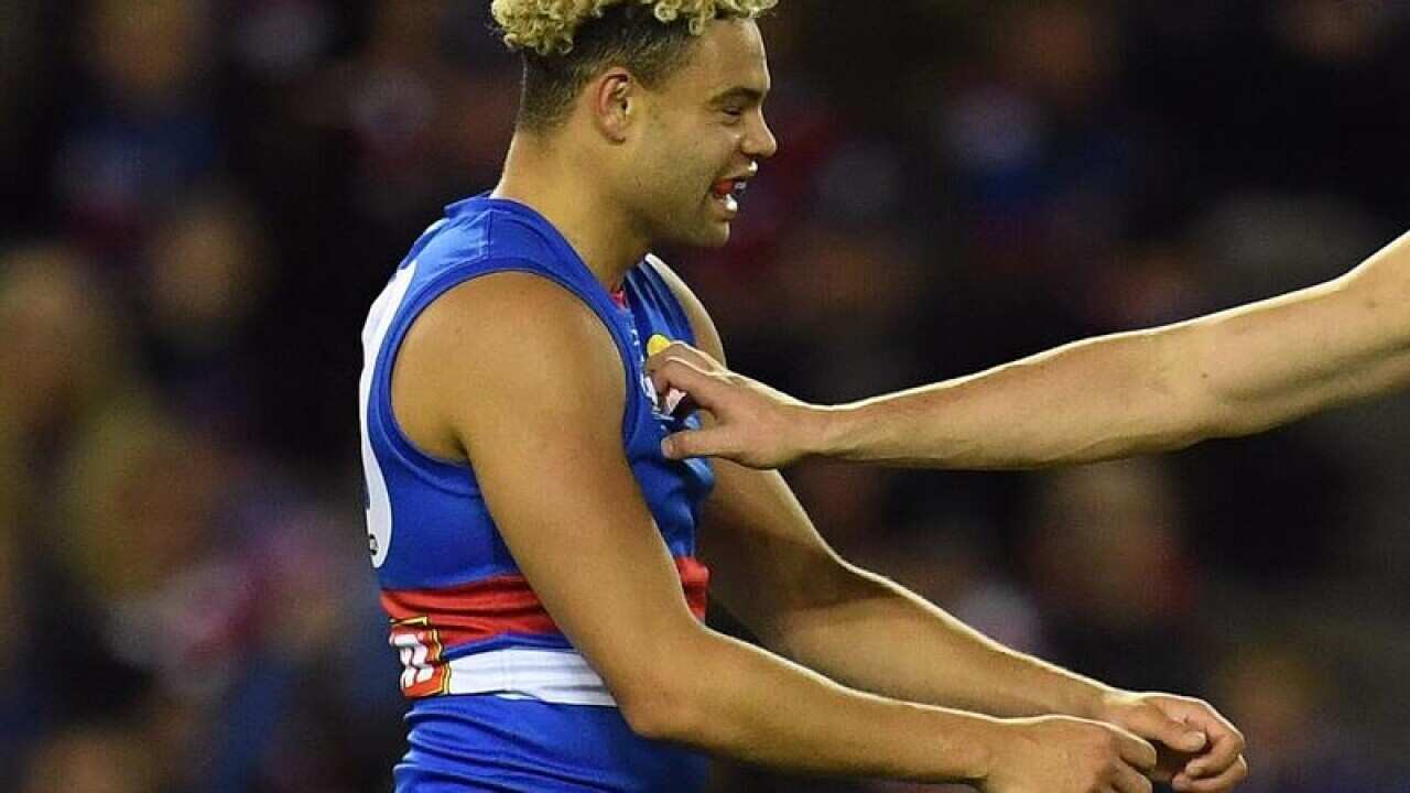 Western Bulldogs defender Jason Johannisen