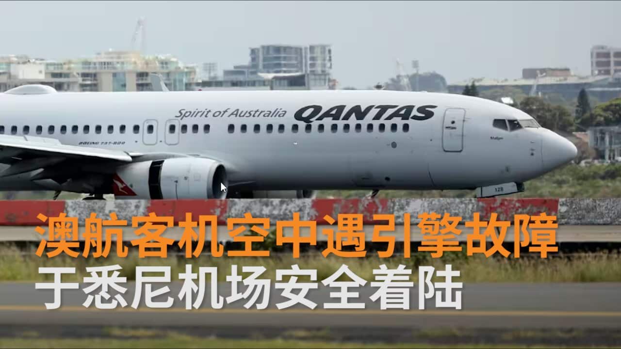 Image for read more article ''