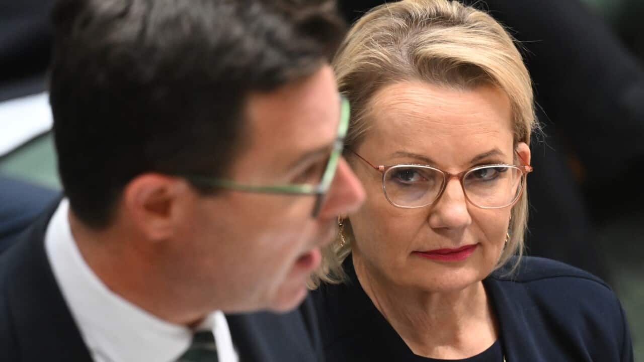 Coalition divided over hate laws despite liberal ‘solutions’ as Greens flag free speech concerns Coalition divided over hate laws despite liberal ‘solutions’ as Greens flag free speech concerns