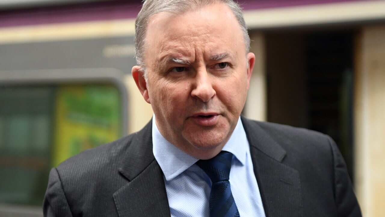 Shadow Minister for Infrastructure Anthony Albanese