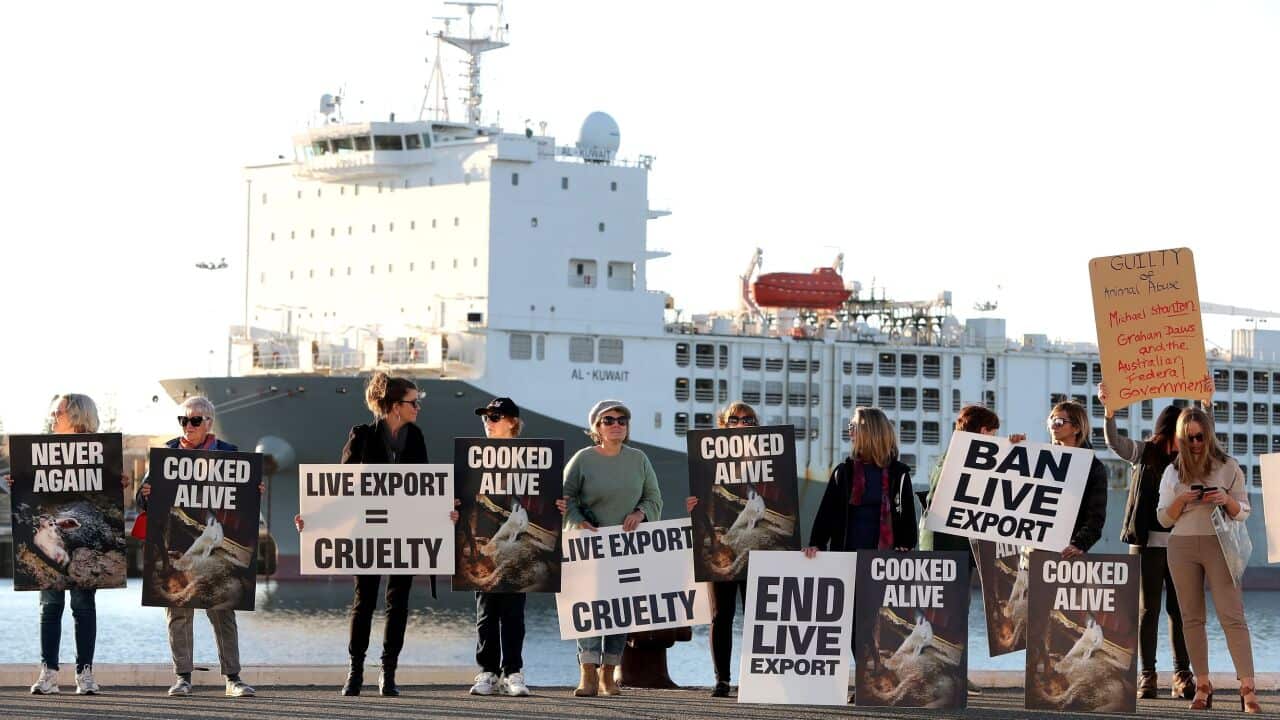 Image for read more article '更多內容'