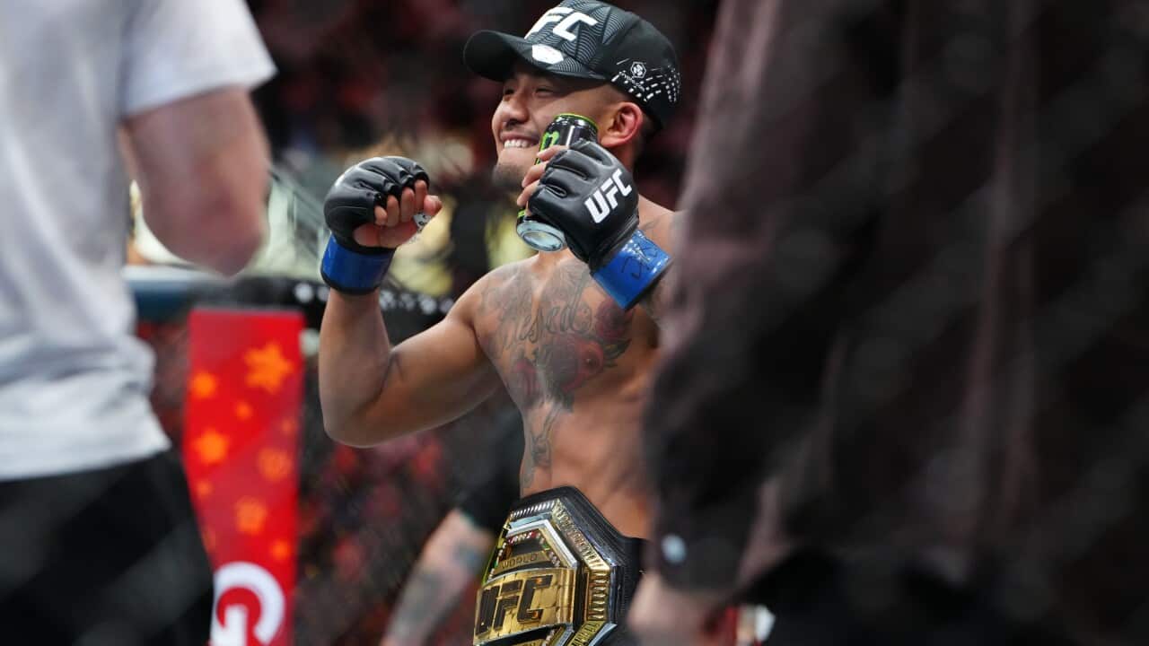 MMA: UFC 323 - Pantoja vs Van