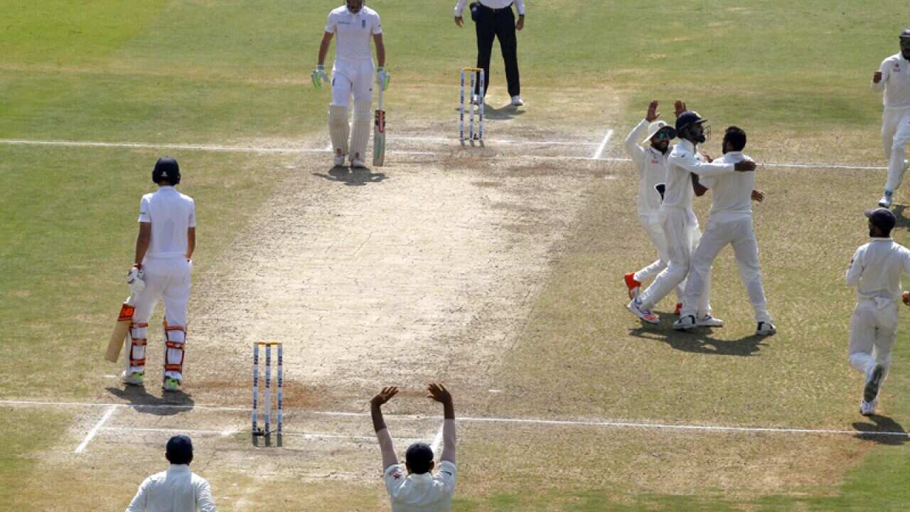 Indian players celebrate the dismissal of England's Joe Root