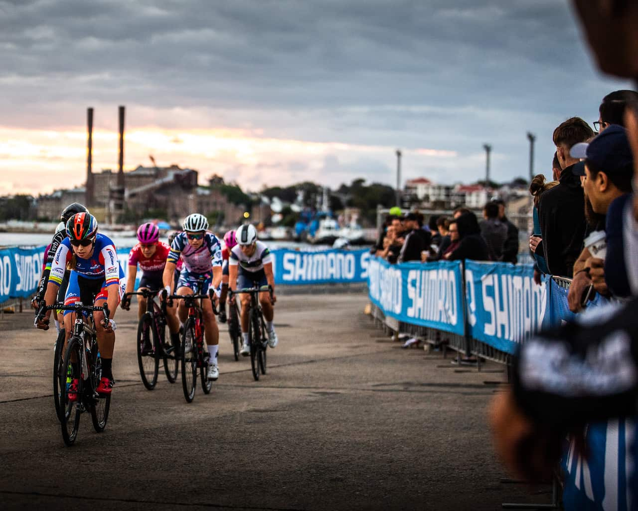 White Bay Criterium, National Criterium Series