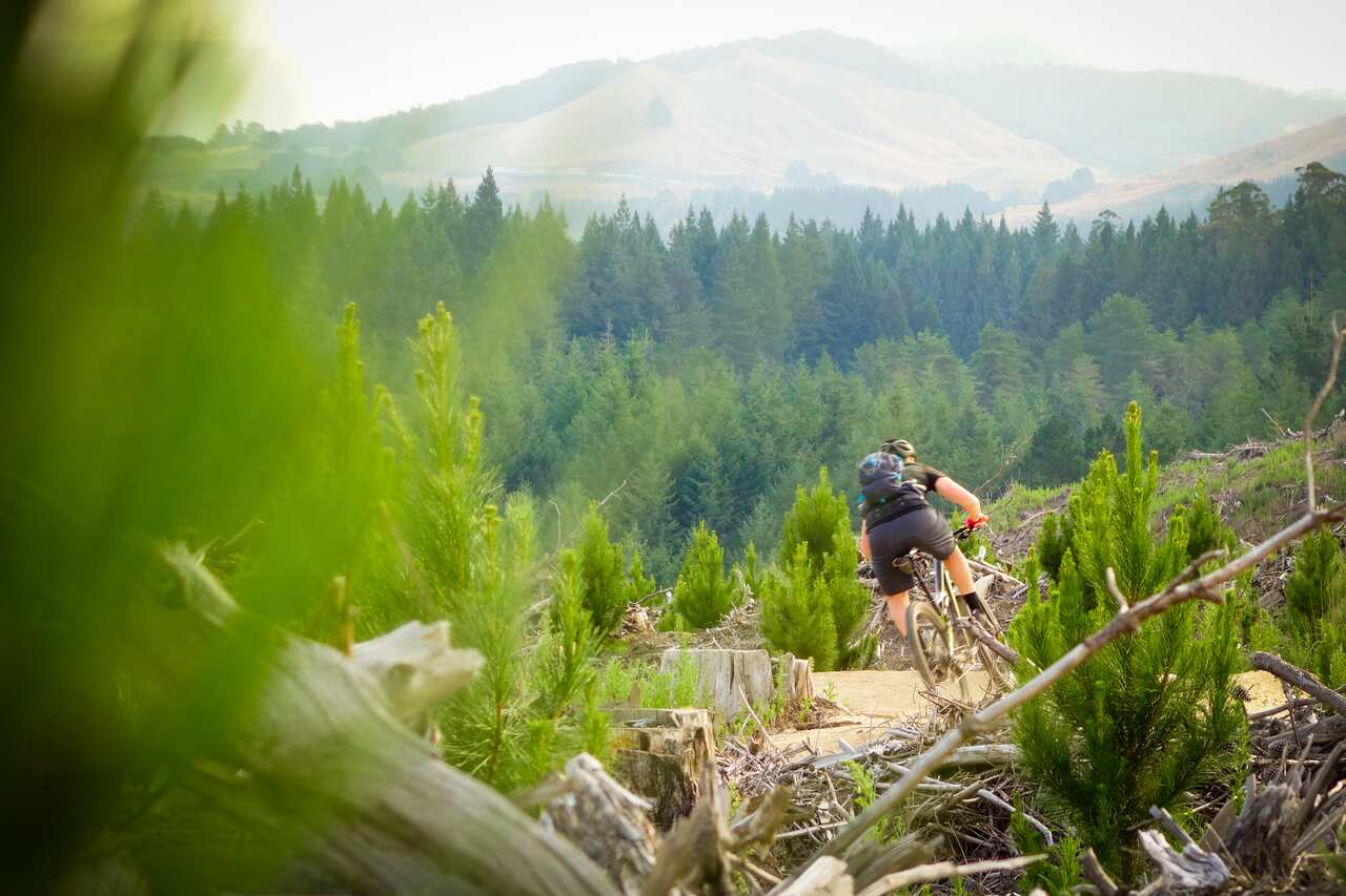 Mountain Biking is fun