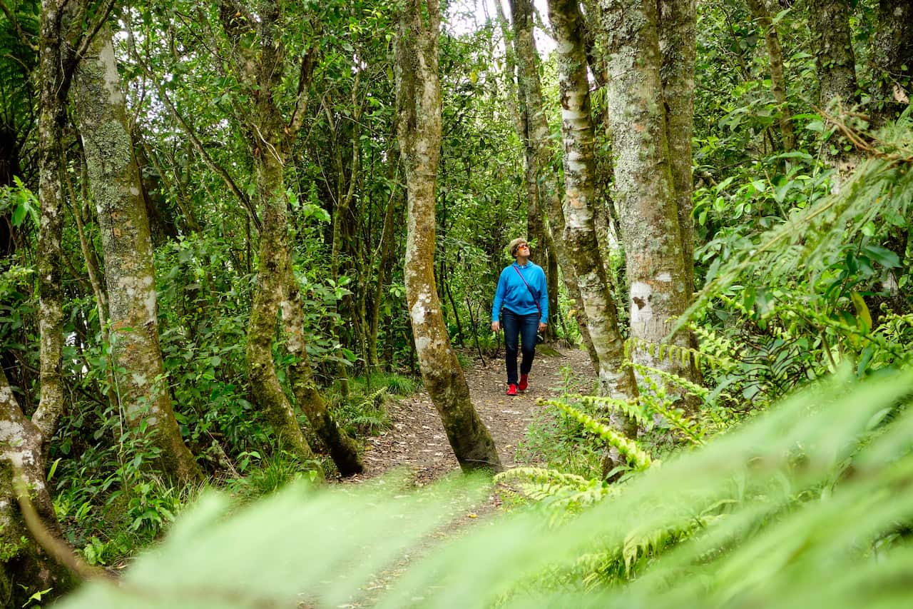 Rotorua Mountain Biking off the bike
