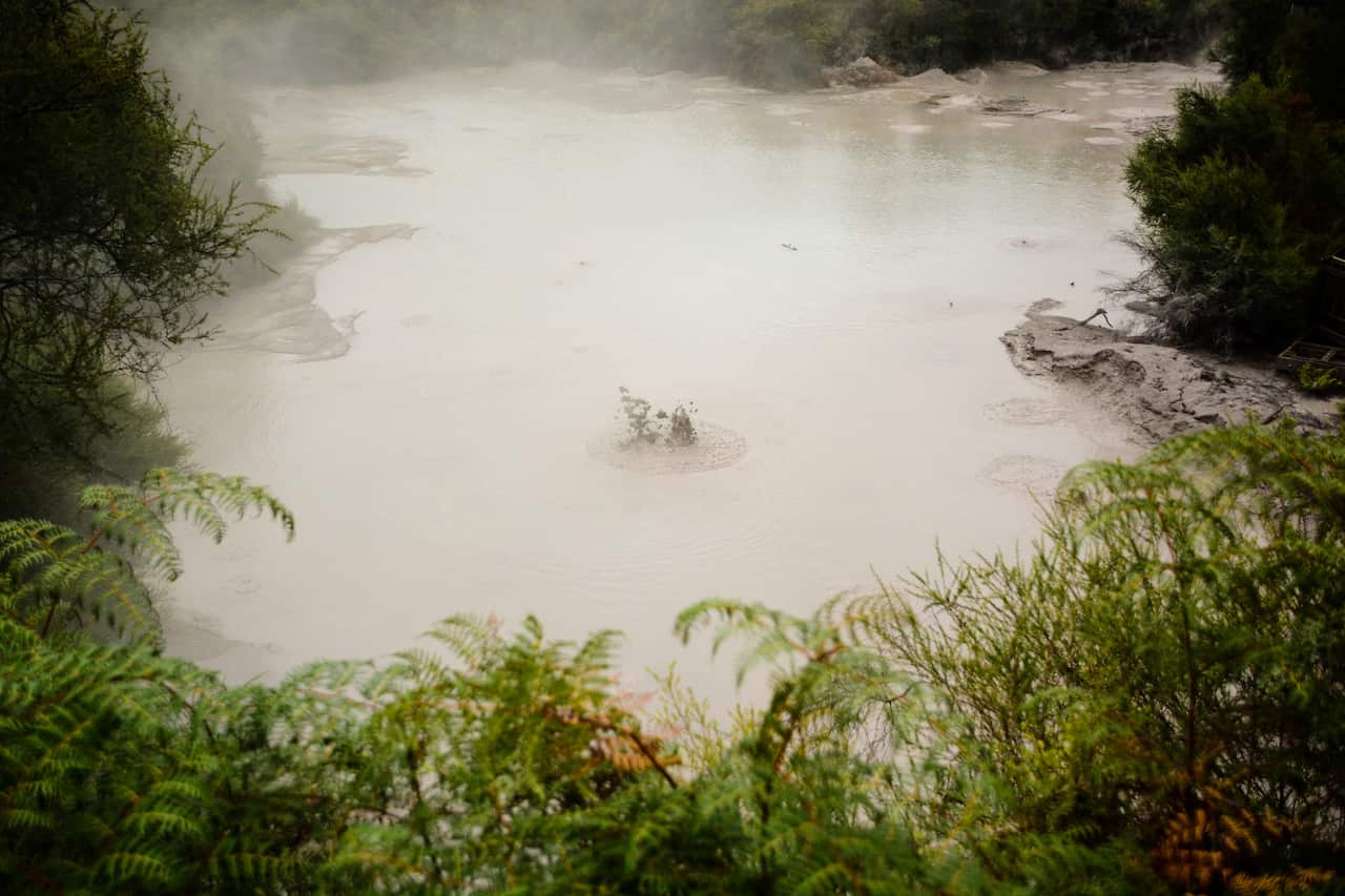 Rotorua Mountain Biking off the bike